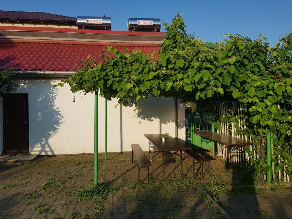 Vila Orizont 维纳斯 外观 照片