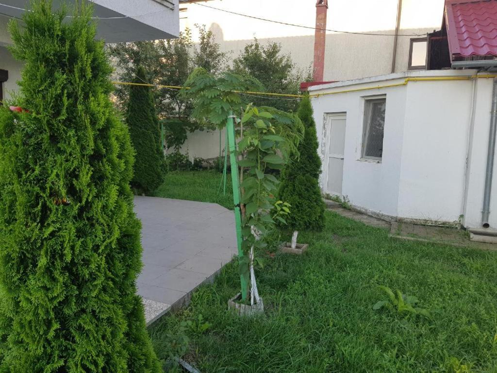 Vila Orizont 维纳斯 外观 照片
