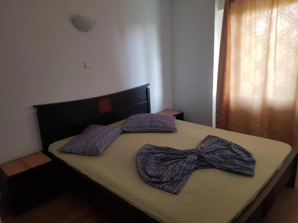 Vila Orizont 维纳斯 外观 照片
